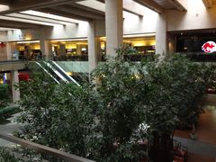 大堂-仁恒美食庭苑(仁恒海河广场店)