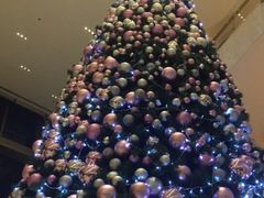 -新发展亚太JW万豪酒店·福苑咖啡厅