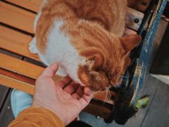 -T80科技文化国际社区-停车场