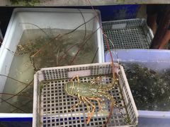 -拉威海鲜市场