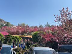 -正宗火盆自助烧烤·烤全羊·柴火鸡(龙泉山店)