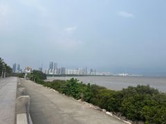 -深圳湾公园(南山区)