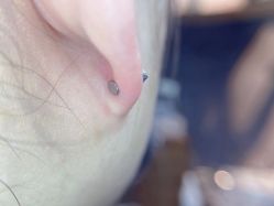 -焰针刺青纹身.手工穿孔饰品·中国刺青名店