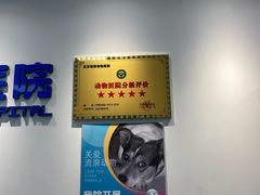-北京观赏动物医院·24小时大型综合·猫专科·异宠专科