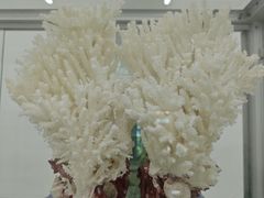 -广东海洋大学(湖光校区)