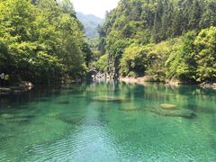 -石台牯牛降景区