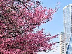 -杭州大剧院-停车场