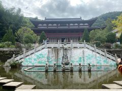 -江西阳明山国家森林公园