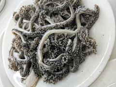 -老磁器口豆汁店(马家堡店)