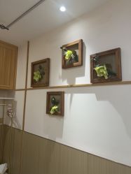 -芳朵美容养生SPA