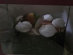 -华荣西饼屋(金禧店)