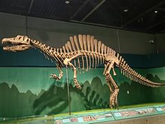 -浙江自然博物院(杭州馆)