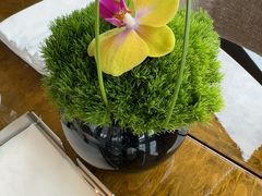 -大连君悦酒店·星海湾壹号Dalian·Dalian(星海广场店)