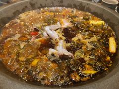 -石锅苗苗鱼(武汉首店)
