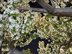 -ZARA HOME(蓝色港湾店)