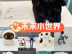 -海心沙亚运公园