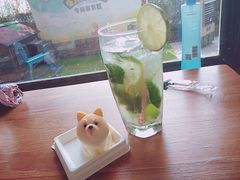 -柴犬高等学院·狗咖·柴犬售卖·宠物训练