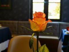 -栾氏荟(柳园店)