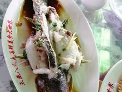 -三亚新鸿港水果一级批发市场
