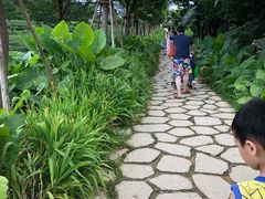 -美的鹭湖探索王国