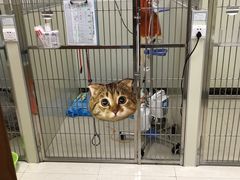 -美联众合动物医院·24h转诊中心