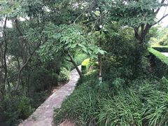 -狐尾山公园