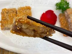 -椿记烧鹅(叠彩店)