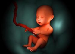 -邢台妇产医院