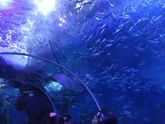 -多彩贵州城极地海洋世界