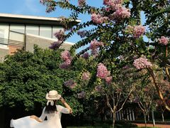 -杭州城北体育公园