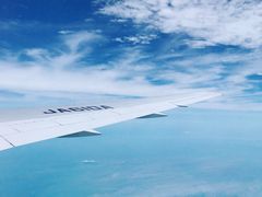 -全日本空输株式会社(上海办事处)
