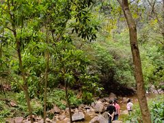 -广州白江湖森林公园