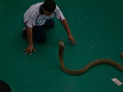 -普吉镇