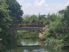 -西溪国家湿地公园