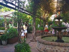 -The Grounds of Alexandria
