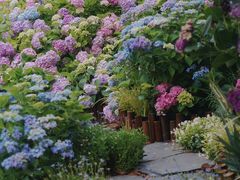 -上海滨江森林公园