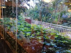-麒麟中餐厅·经典粤菜·地道菜式老字号(广州长隆酒店)