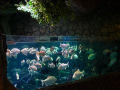 -多彩贵州城极地海洋世界