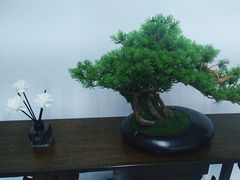 -瑶宫·轻奢SPA会所