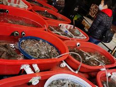 -芦潮港集贸市场