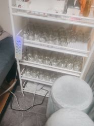 -苗塑堂减肥艾灸