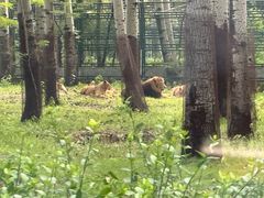 -秦皇岛野生动物园