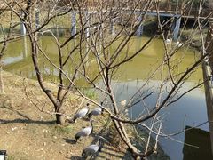 -无锡动物园·太湖欢乐园