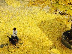 android_upload_pic-杭州天目山静雅居农家乐