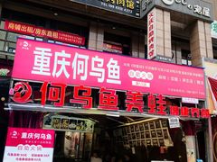 -重庆何乌鱼(南湖逸家店)
