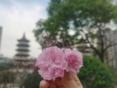 -宝岛公园