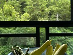 -东天目山风景区