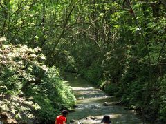 -桤木河湿地公园