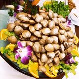 部队大院食堂的美食诱惑！