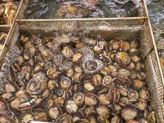 -抹直口特色菜馆(一店)